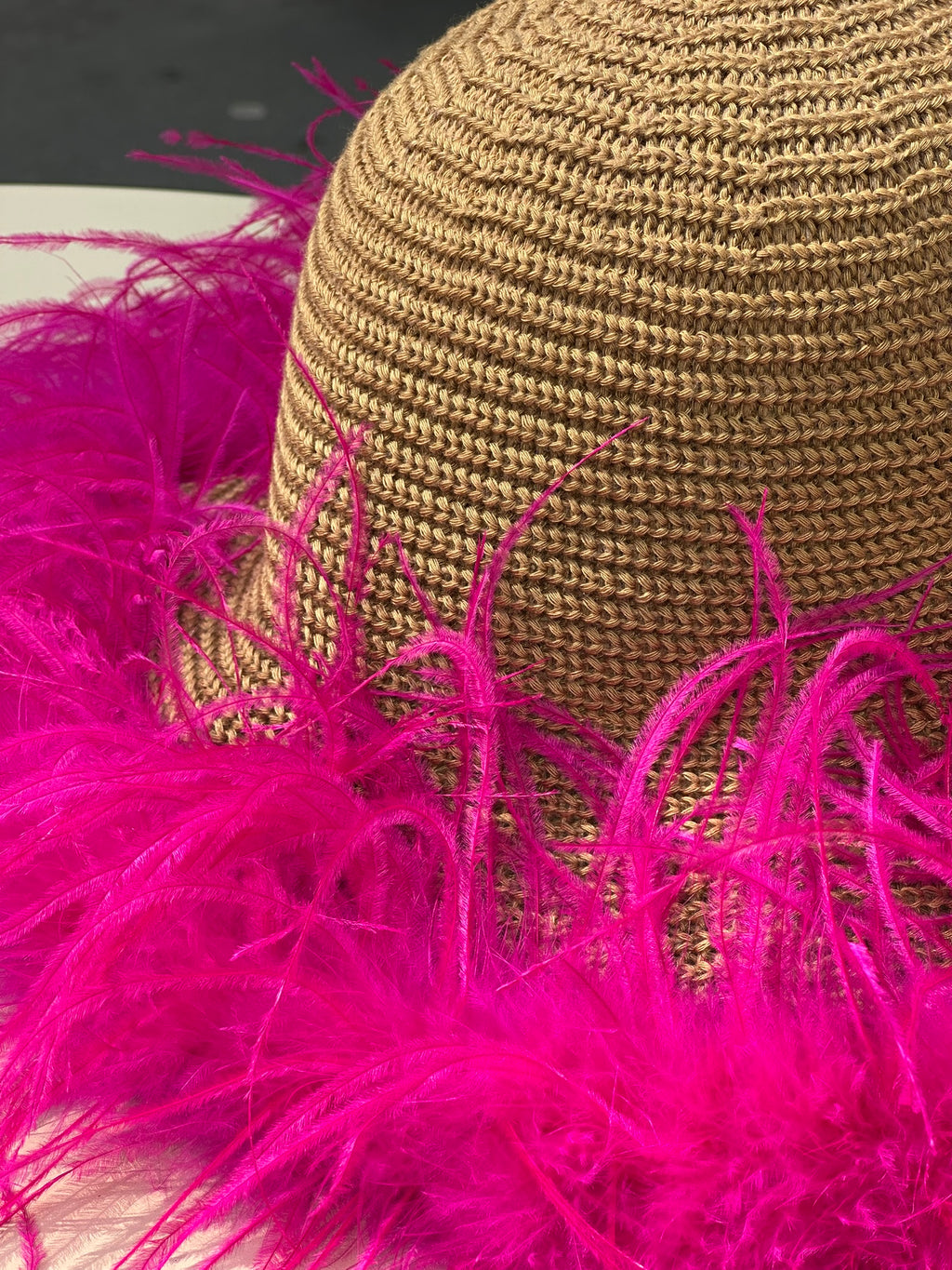 Le Plumage