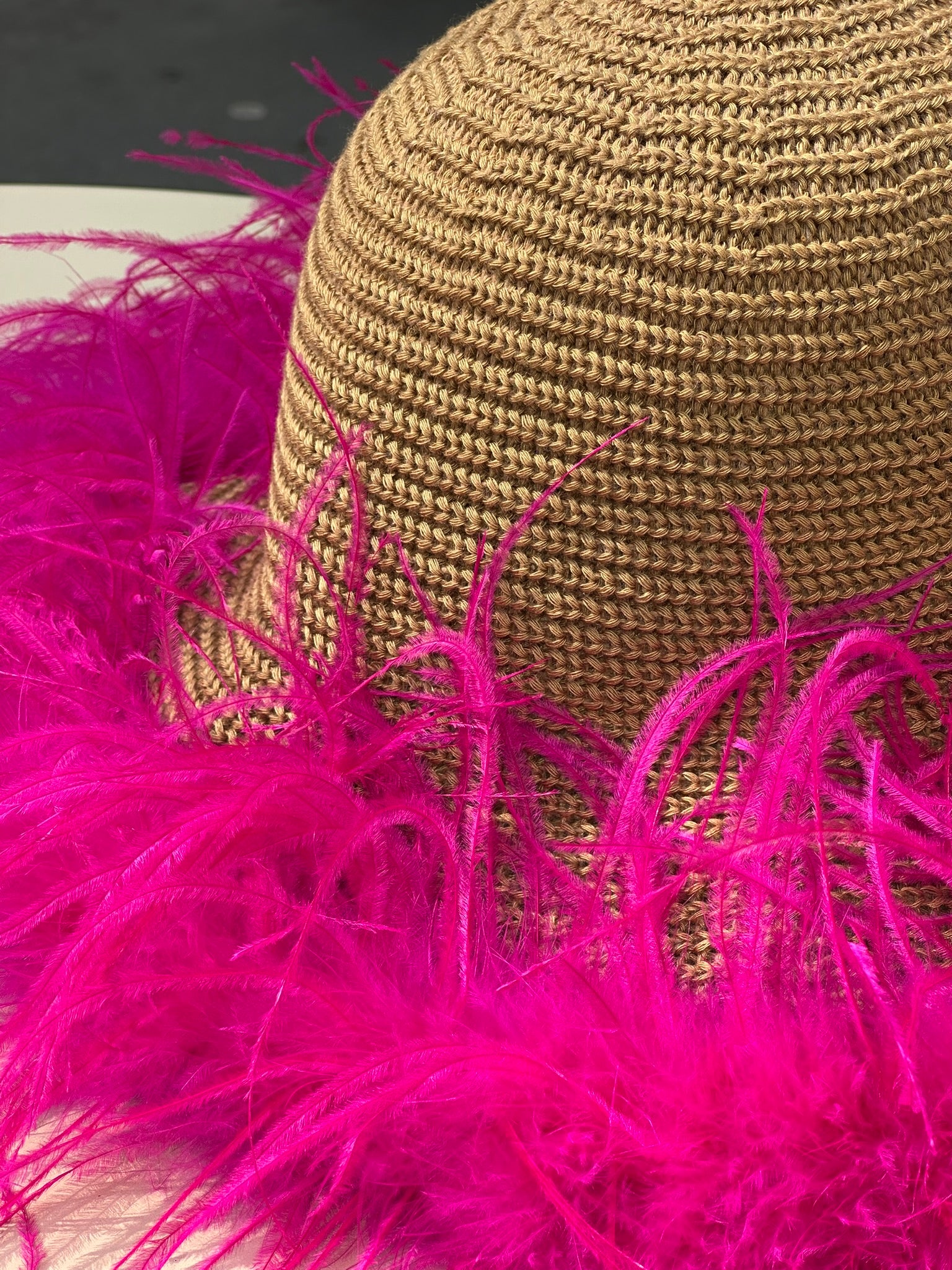 Le Plumage