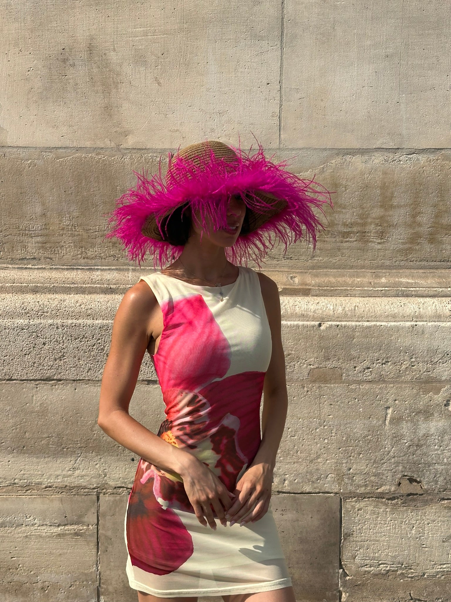 Le Plumage