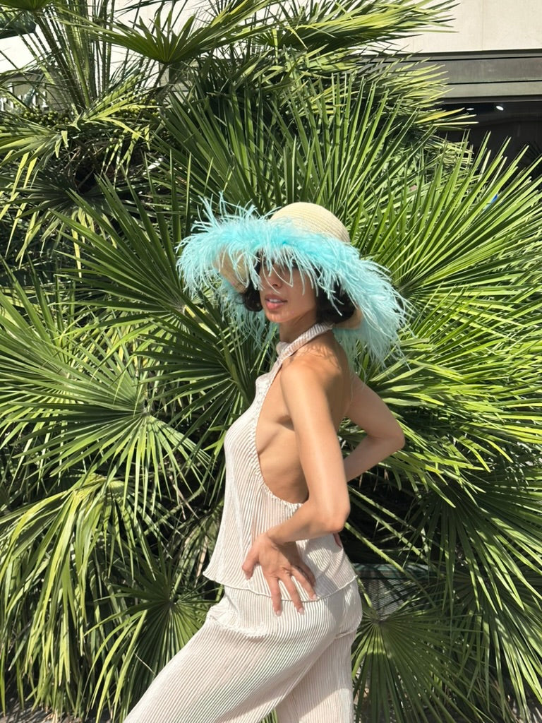 Le Plumage