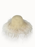 Le Plumage