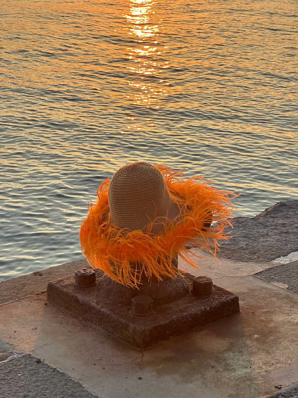 Le Plumage