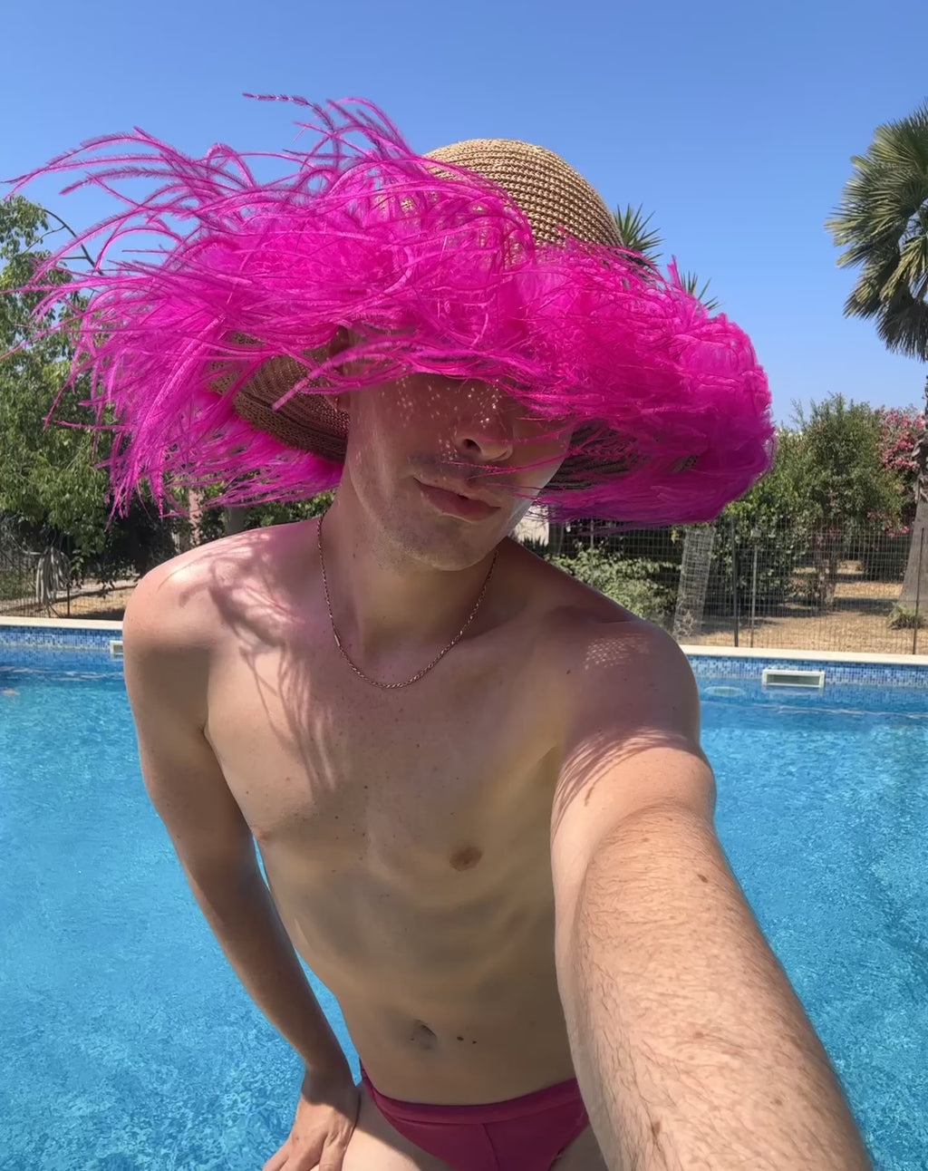 Le Plumage