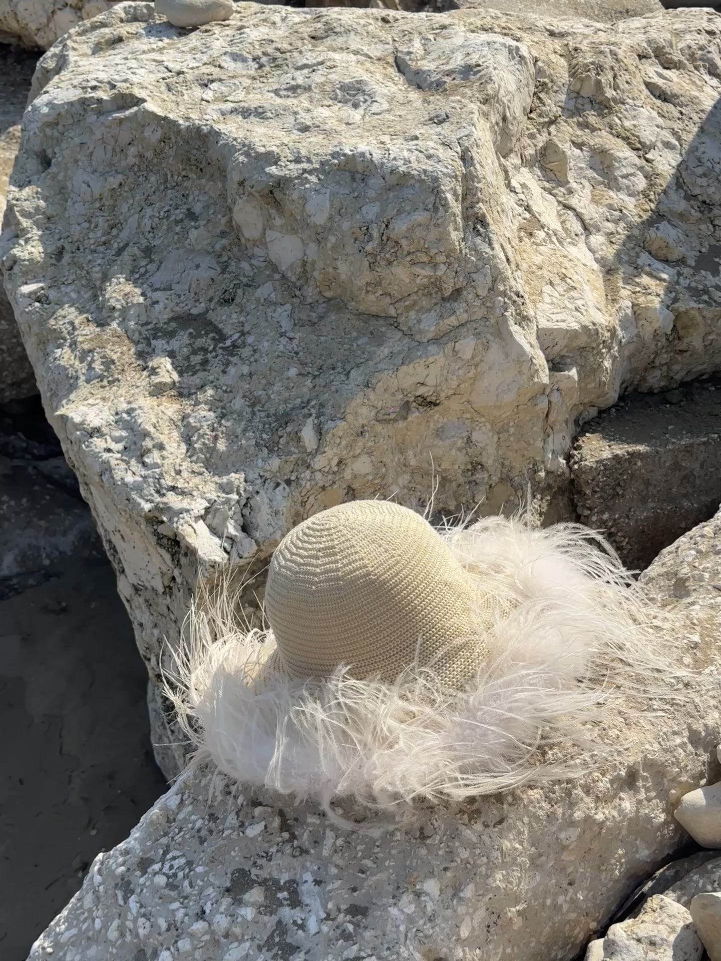Le Plumage