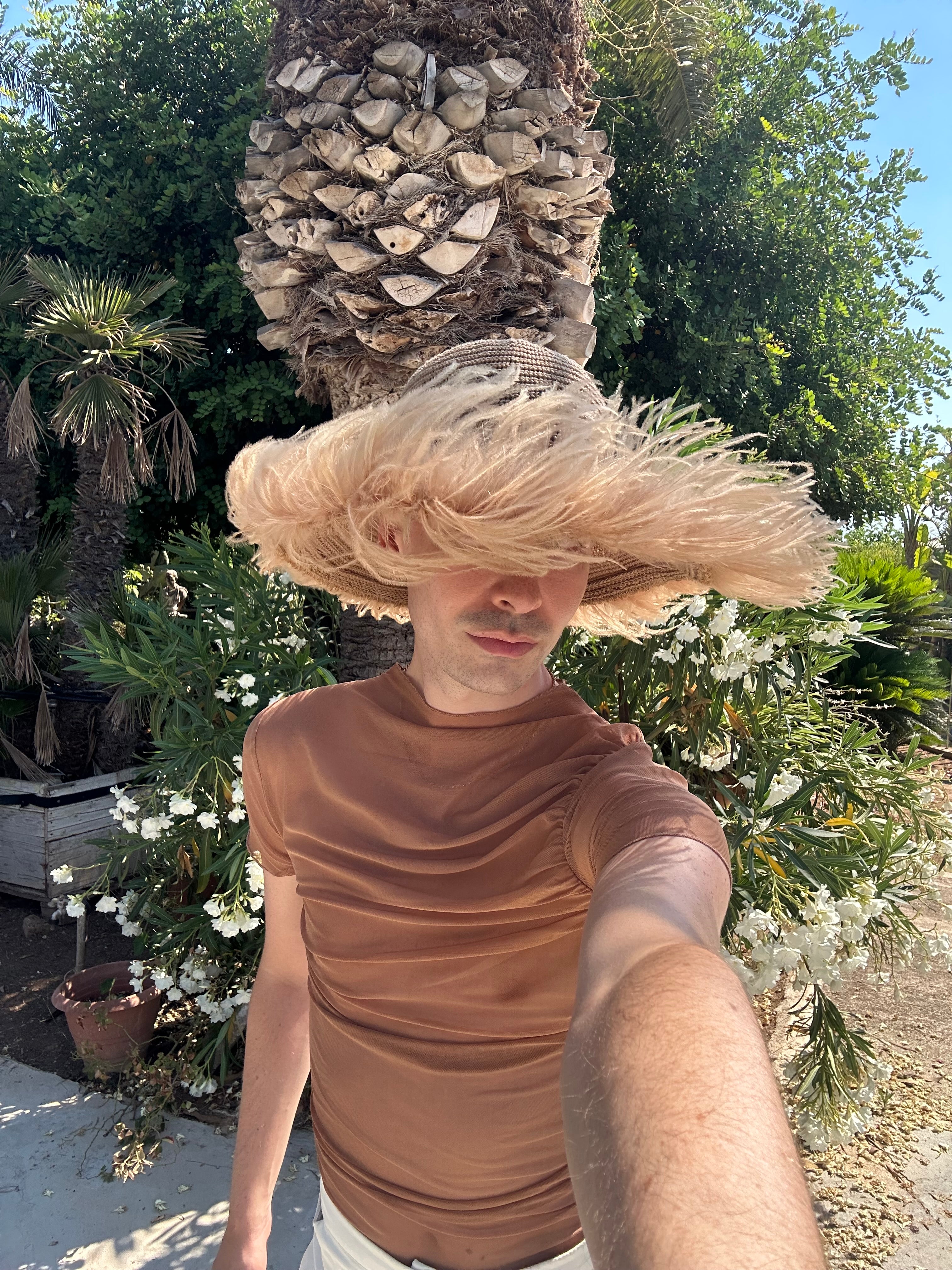 Le Plumage