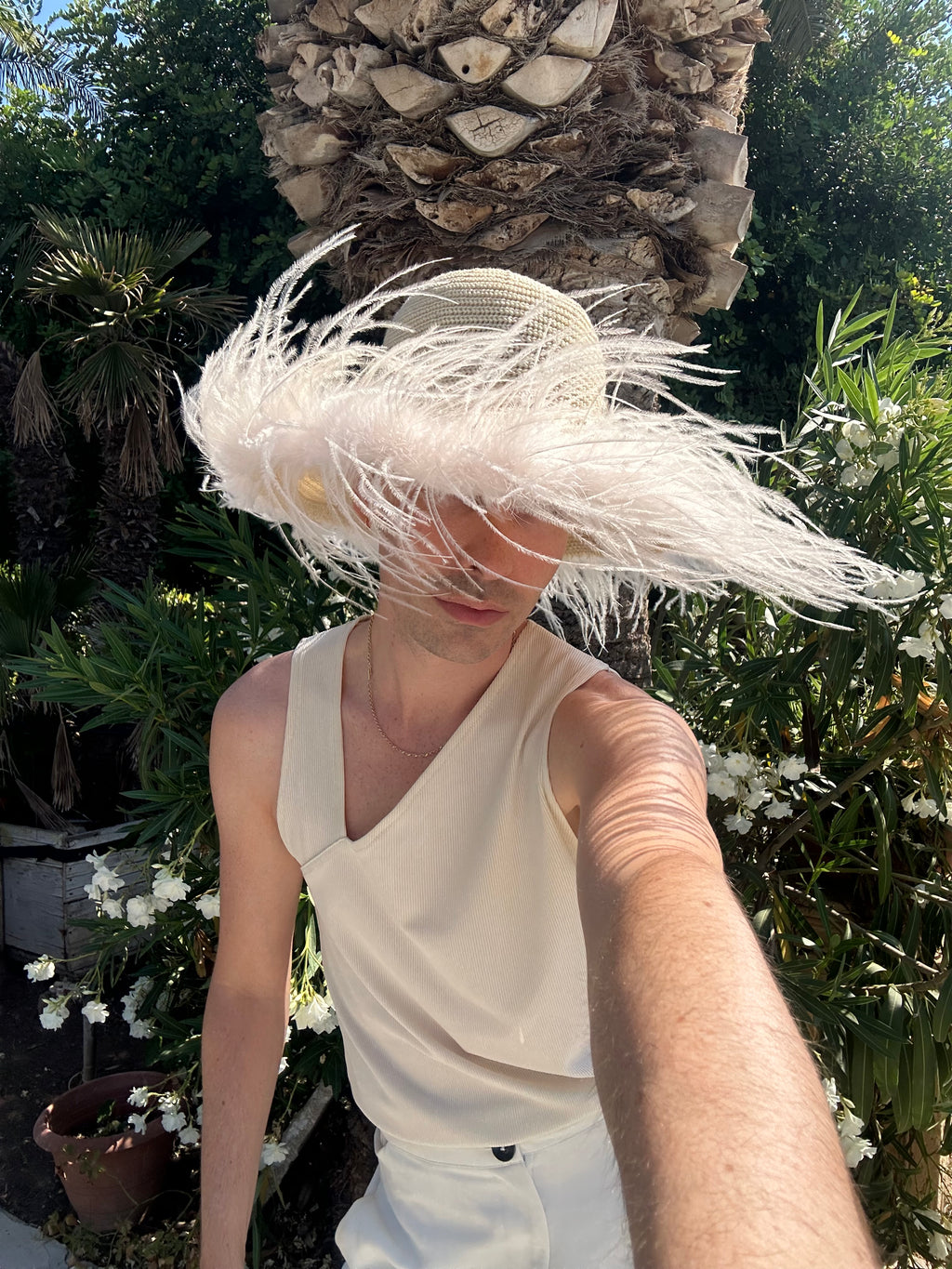 Le Plumage