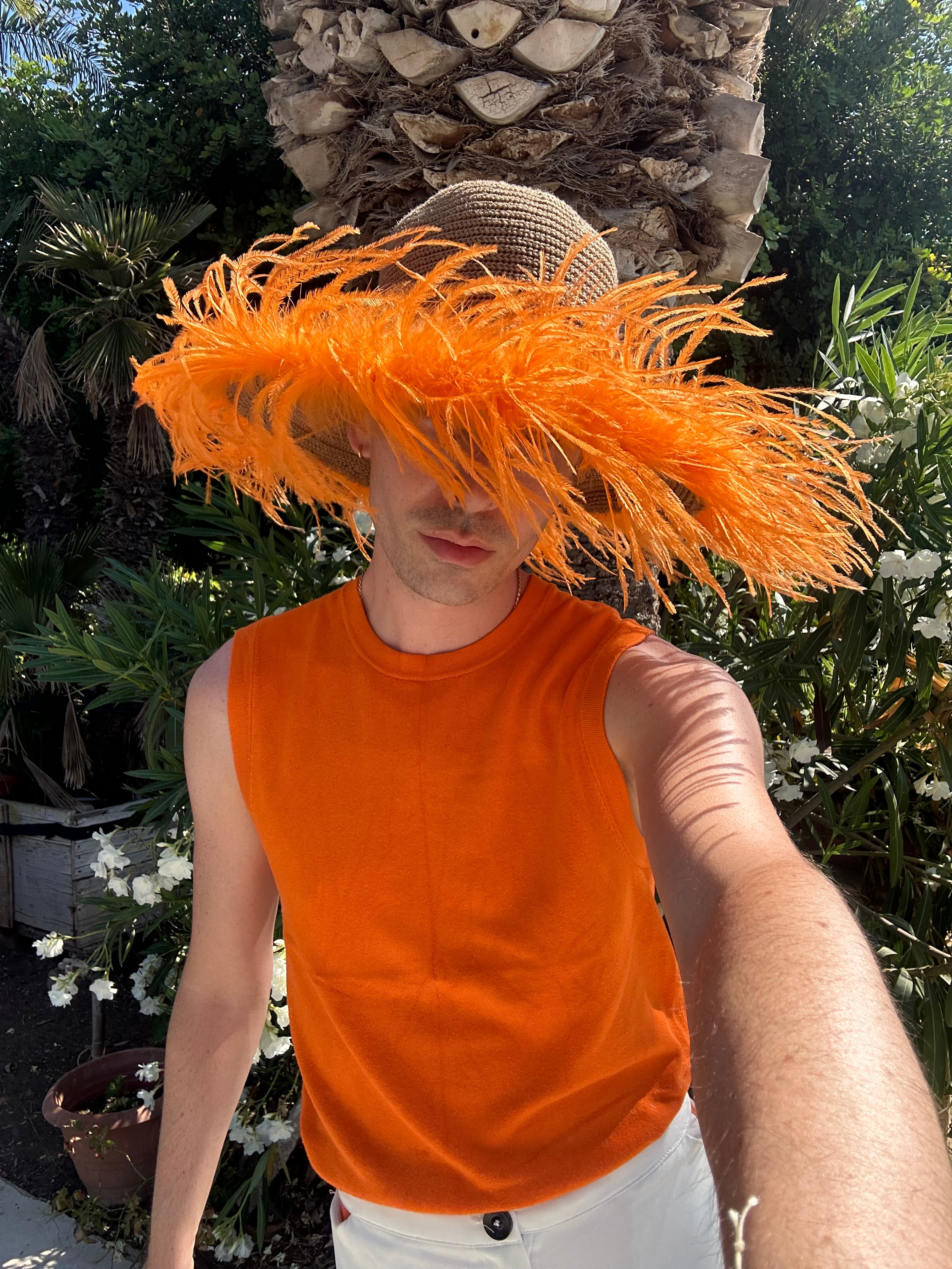 Le Plumage