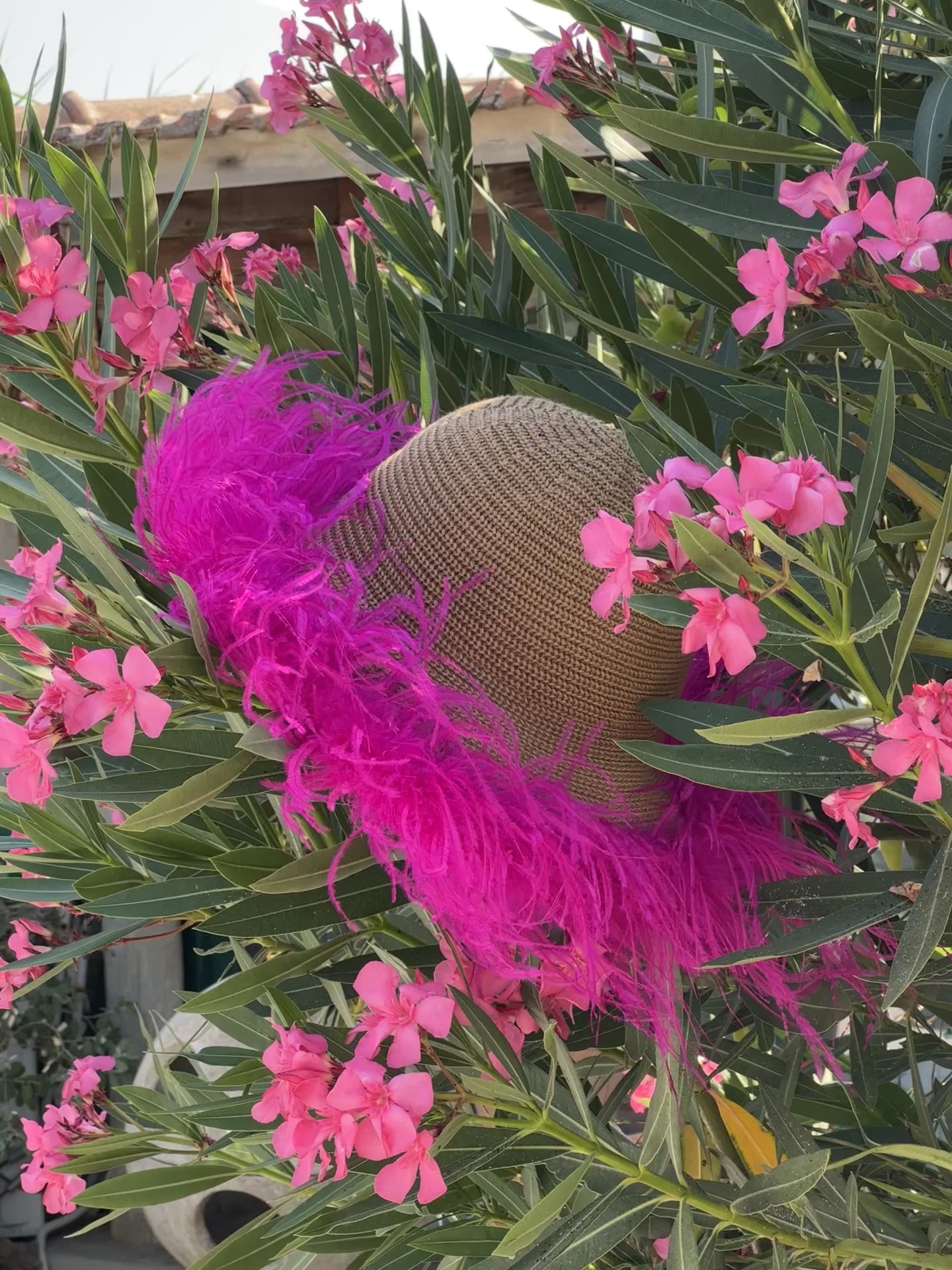 Le Plumage